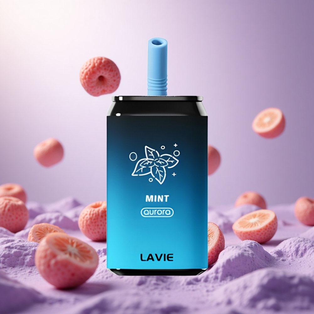 Mint Lavie Aurora 11000 Puffs Type C Rechargeable vape suppliers South Africa