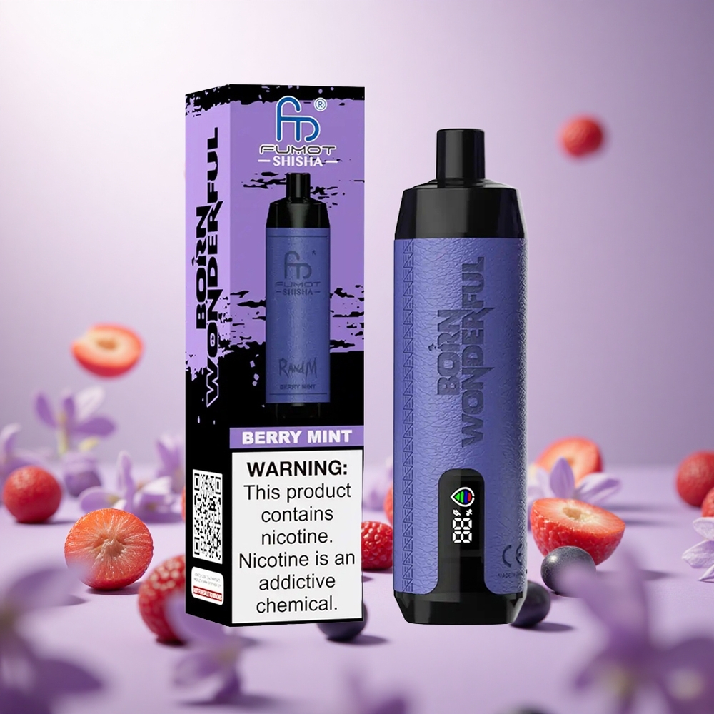 Berry Mint RandM Fumot Shisha 10000 Puffs 18ml e-liquid vape suppliers South Africa