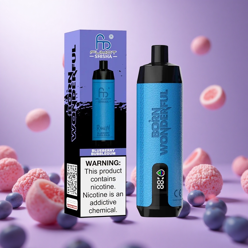 Blueberry Bubblegum RandM Fumot Shisha 10000 Puffs LED Indicator Type-C Port vape suppliers South Africa