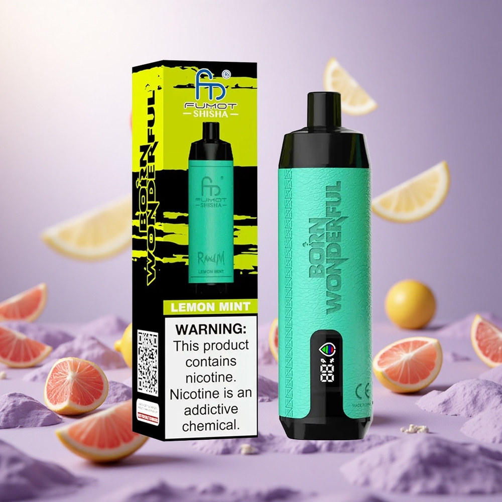 Lemon Mint RandM Fumot Shisha 10000 Puffs Disposable Vape with LED Indicator vape suppliers South Africa