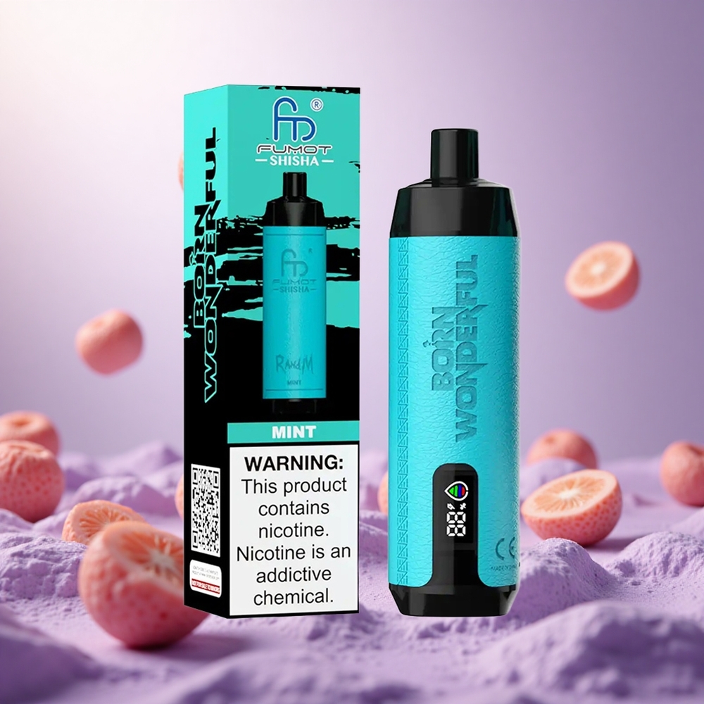 Mint RandM Fumot Shisha 10000 Puffs Disposable Vape with LED Indicator vape suppliers South Africa