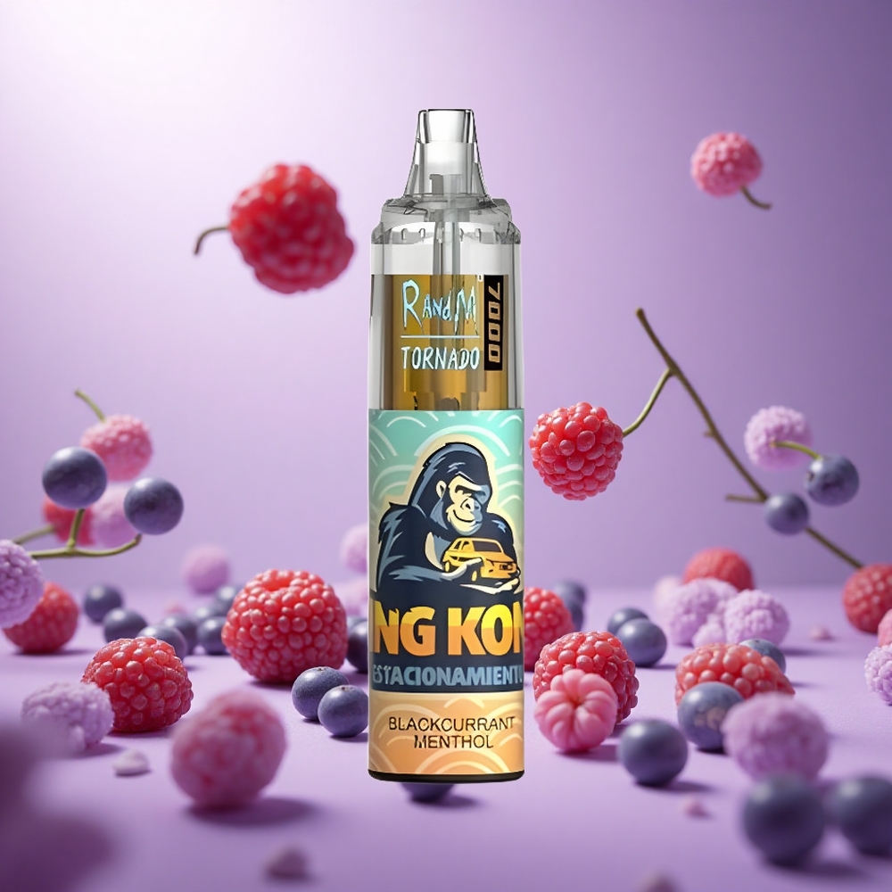 Blackcurrant Menthol RandM Fumot Tornado 7000 Puffs Mesh Coil vape suppliers South Africa